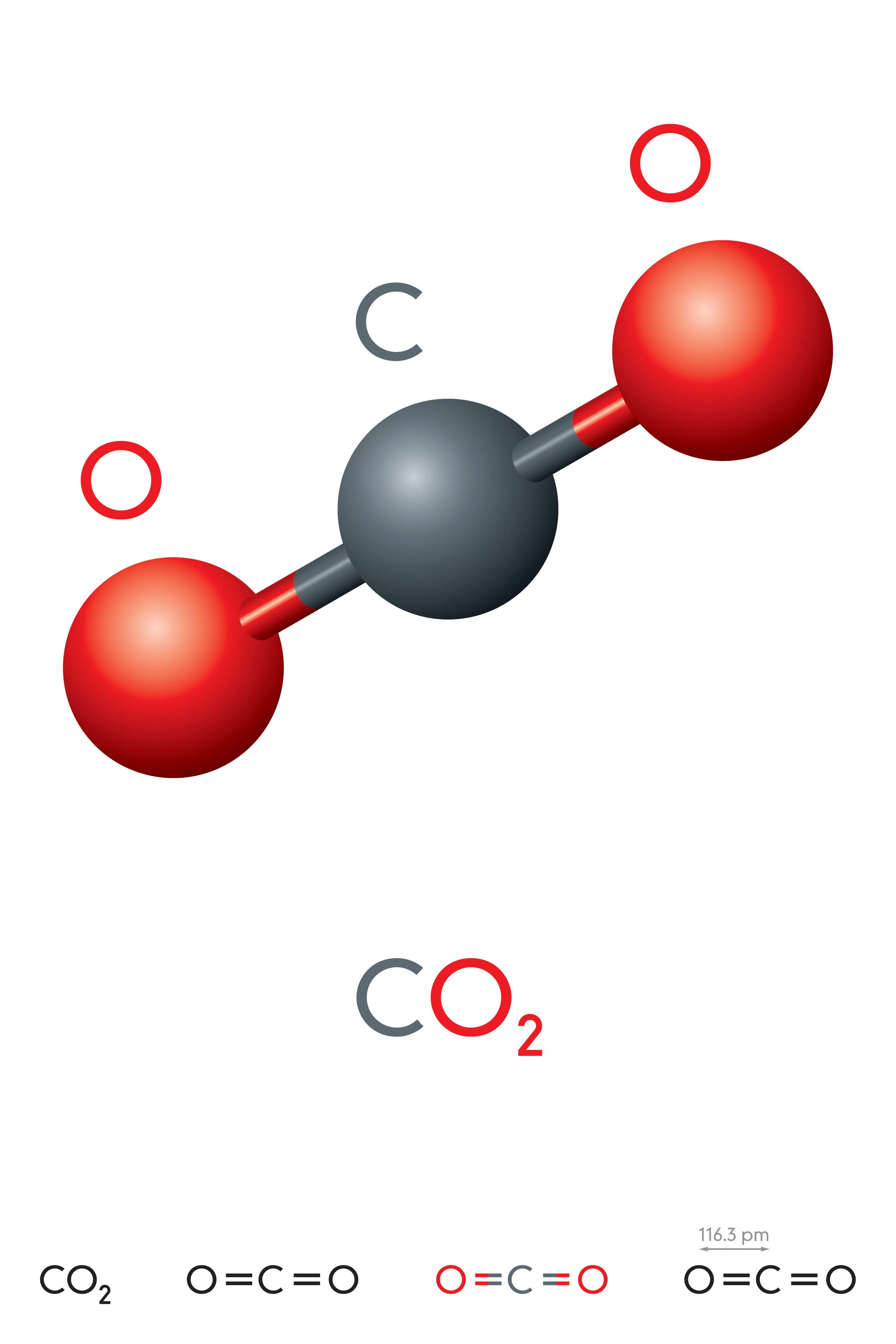 Tác động của CO2 đến môi trường