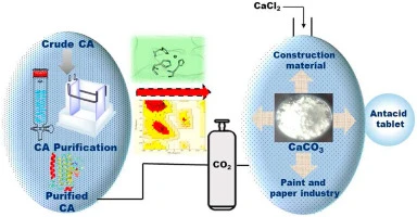 Công nghệ hấp thụ CO2