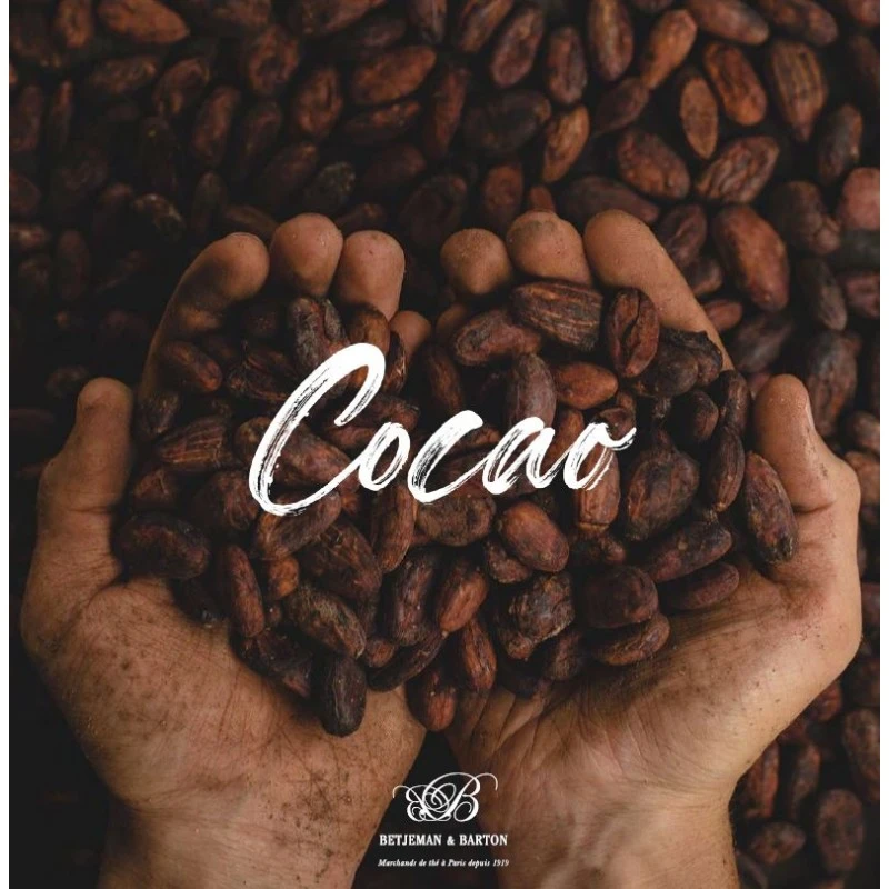 Sản phẩm từ cacao