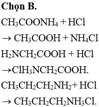 Phản ứng hóa học giữa amoni axetat và axit clohidric