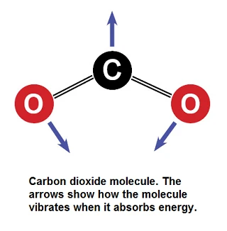 Phân vùng hoạt động của CO2