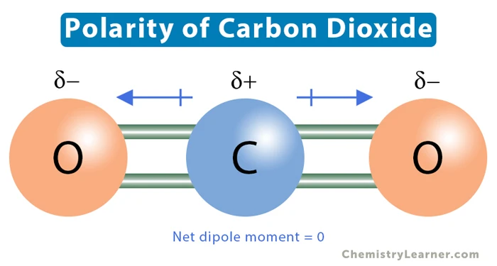 C + CO2 = CO