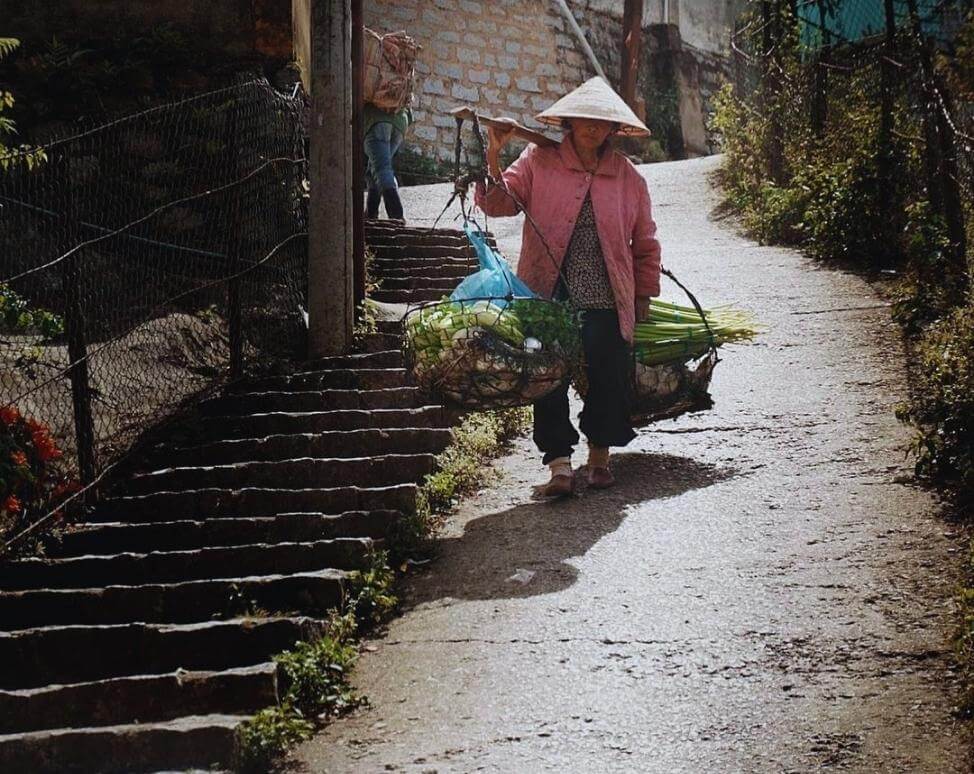 Dốc Nhà Bò - Điểm check in