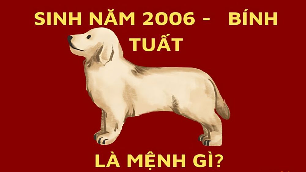 2006 là năm con gì? Sinh năm 2006 hợp tuổi gì, màu gì?