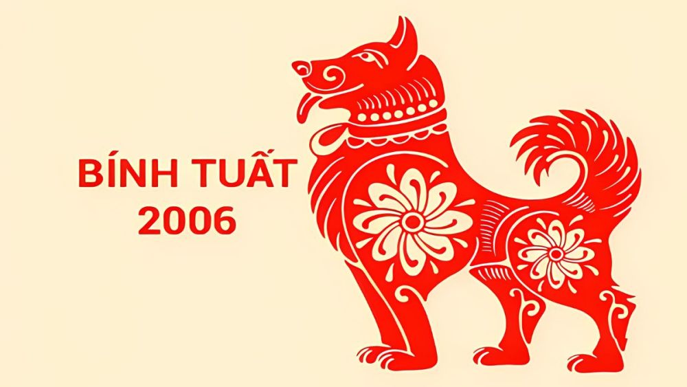 2006 là năm con gì? Sinh năm 2006 hợp tuổi gì, màu gì?