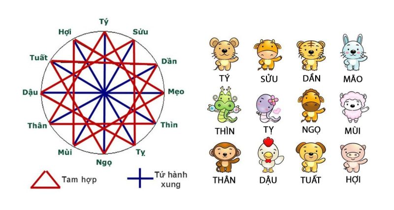 Sinh con hợp tuổi bố mẹ: Rước tài lộc, ăn nên làm ra (Mới nhất 2024)