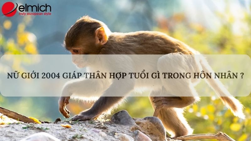 Tuổi Giáp Thân 2004 hợp tuổi gì trong làm ăn và hôn nhân