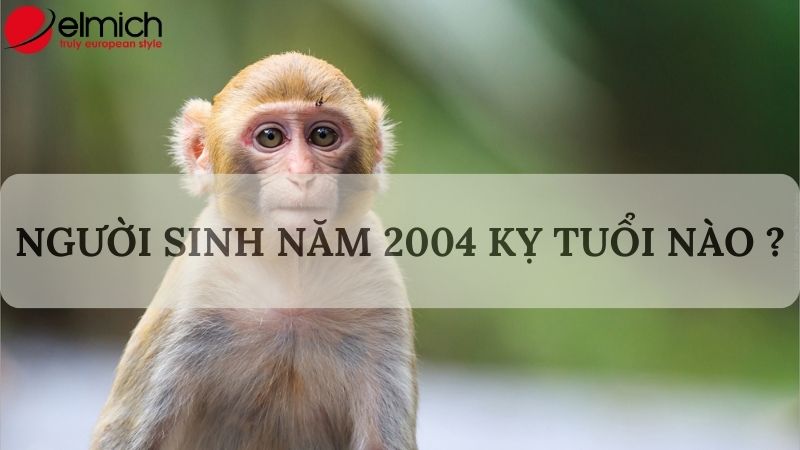 Tuổi Giáp Thân 2004 hợp tuổi gì trong làm ăn và hôn nhân