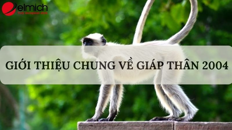 Tuổi Giáp Thân 2004 hợp tuổi gì trong làm ăn và hôn nhân