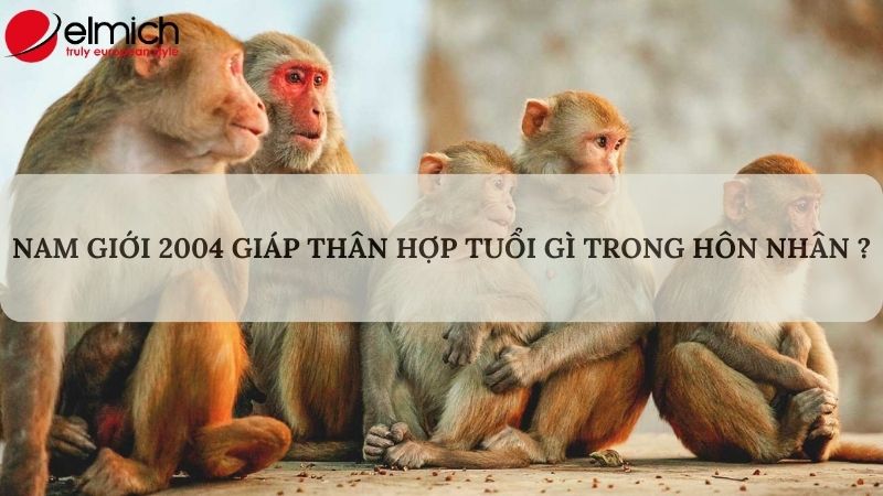 Tuổi Giáp Thân 2004 hợp tuổi gì trong làm ăn và hôn nhân