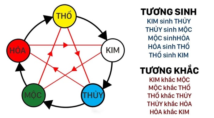 Tuổi Tỵ sinh năm nào? Tuổi Tỵ hợp với tuổi nào trong sự nghiệp, hôn nhân