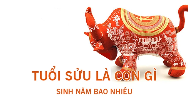 Tuổi sửu sinh năm nào? Xem tử vi người tuổi sửu năm 2024