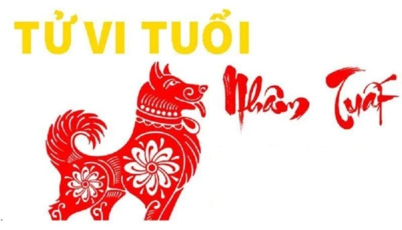 Tử Vi Tuổi Nhâm Tuất 2024: Tài Vận Ổn Định, Nhiều May Mắn