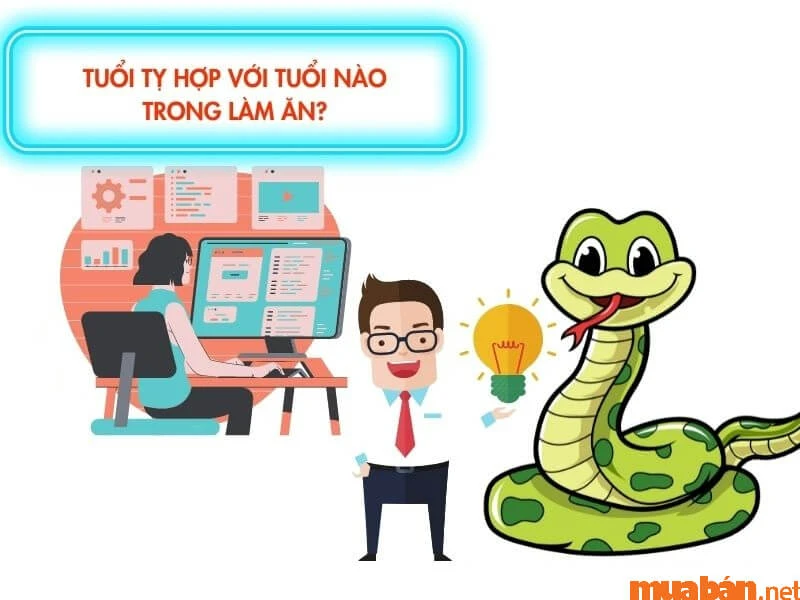 Tuổi Quý Tỵ 2013 mệnh gì, hợp màu gì, hướng nào tốt?