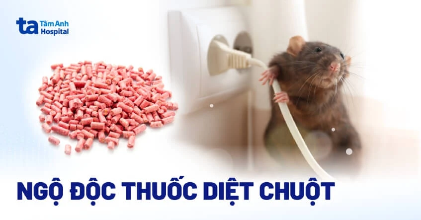 Ngộ độc thuốc diệt chuột: Triệu chứng, chẩn đoán và cách phòng ngừa