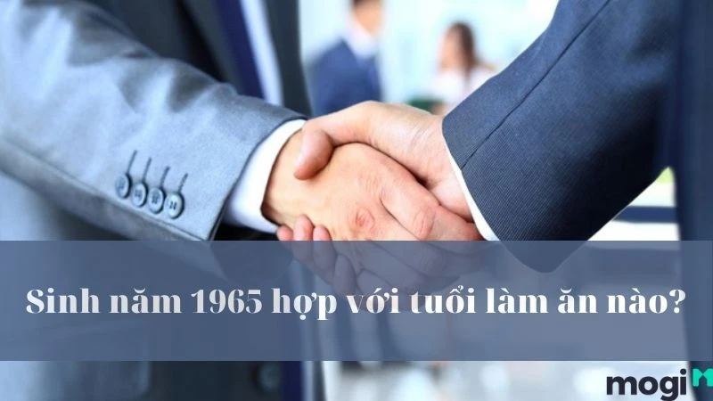 Sinh Năm 1965 Tuổi Gì? Hợp Với Màu Và Mệnh Gì? Nên Xây Nhà Hướng Nào?