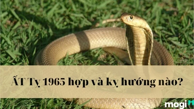 Sinh Năm 1965 Tuổi Gì? Hợp Với Màu Và Mệnh Gì? Nên Xây Nhà Hướng Nào?