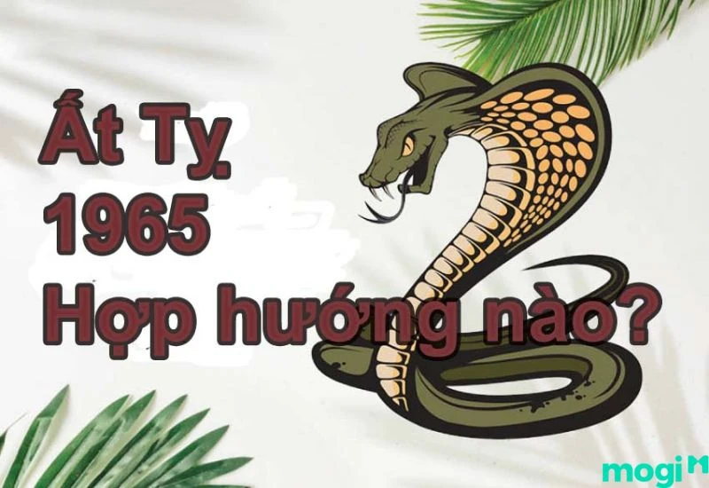 Sinh Năm 1965 Tuổi Gì? Hợp Với Màu Và Mệnh Gì? Nên Xây Nhà Hướng Nào?