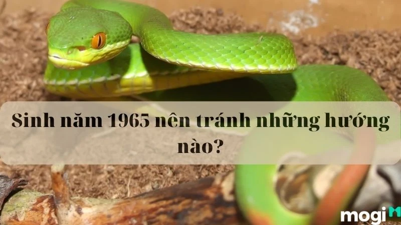 Sinh Năm 1965 Tuổi Gì? Hợp Với Màu Và Mệnh Gì? Nên Xây Nhà Hướng Nào?