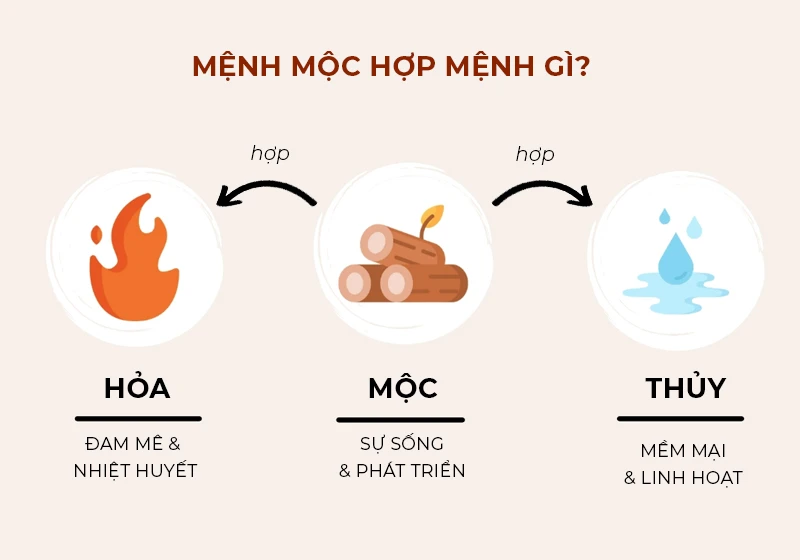 Mệnh Mộc là gì? Sinh năm nào, hợp và khắc với mệnh gì?