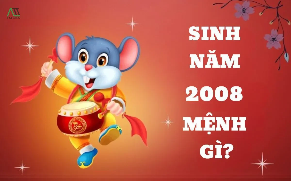 Nam nữ tuổi Mậu Tý 2008 mệnh gì? Tổng quan sinh năm 2008