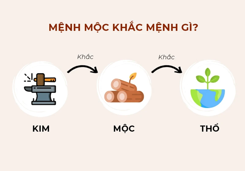 Mệnh Mộc là gì? Sinh năm nào, hợp và khắc với mệnh gì?