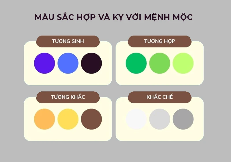 Mệnh Mộc là gì? Sinh năm nào, hợp và khắc với mệnh gì?