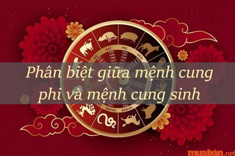 Làm sao để biết mình mệnh gì Kim Mộc Thủy Thổ hay Hỏa ? Hợp mầu gì?