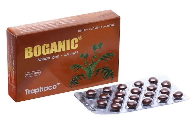 Boganic là thuốc gì và khi nào thì được chỉ định dùng Boganic?