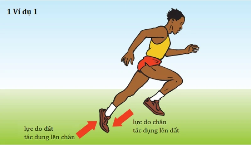 Nội dung 3 định luật Newton và bài tập vận dụng chi tiết