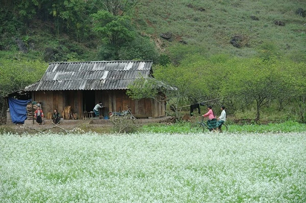 Tour du lịch Mai Châu Hòa Bình 2 ngày 1 đêm