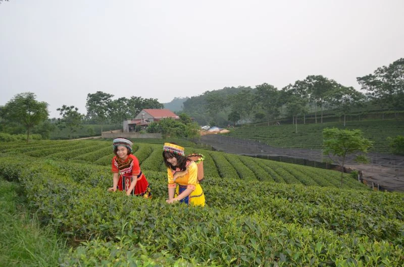 Tour Du lịch - Du lịch Tuyên Quang