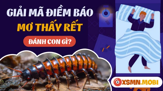 Mơ thấy con rết có ý nghĩa chỉ ra vận xui hay may?